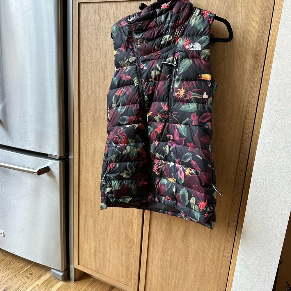 Northface vest